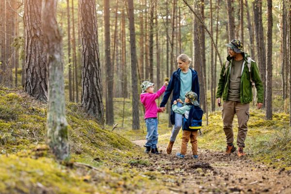 Top applications pour explorer la forêt de Brocéliande efficacement